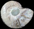 Agatized Ammonite Fossil (Half) #39625-1
